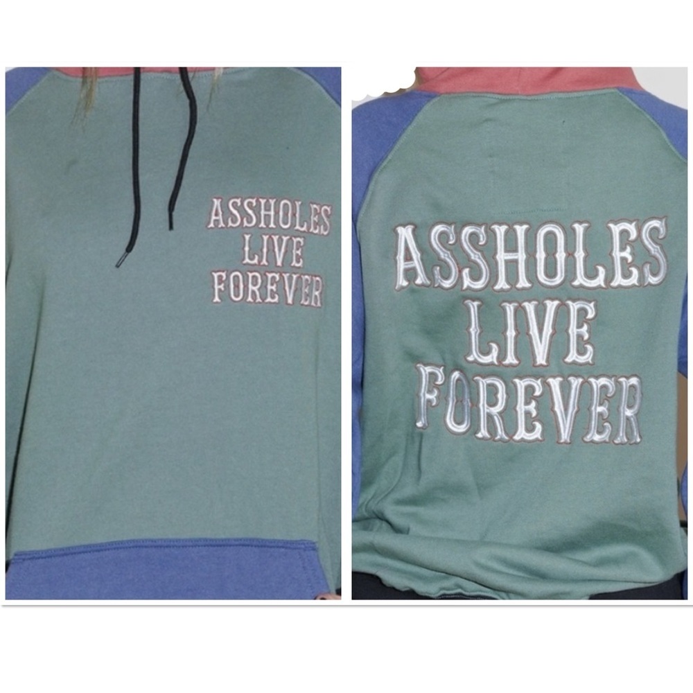 Linda Finegold Assholes Live Forever multicolor colorblock unisex hoodie